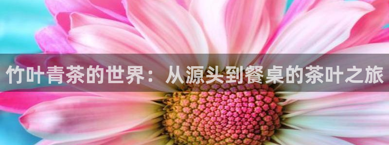 摩登7夜判官333OO