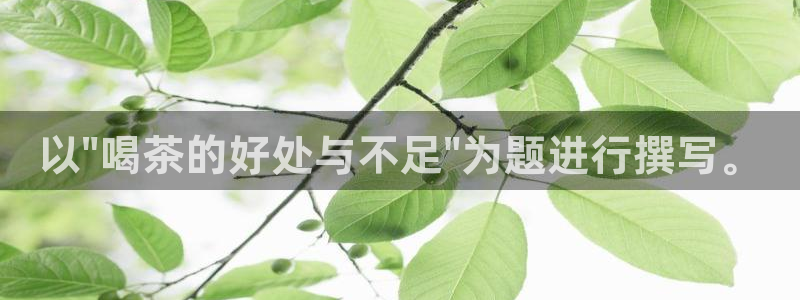 摩登7 lite