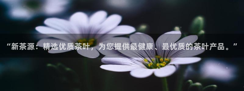 摩登5许7O667