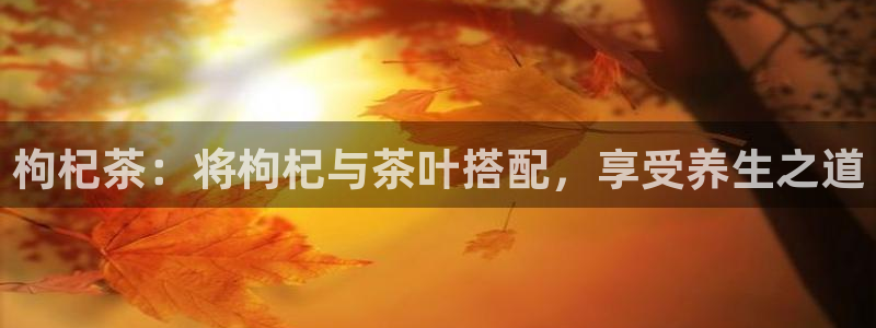 摩登7游戏