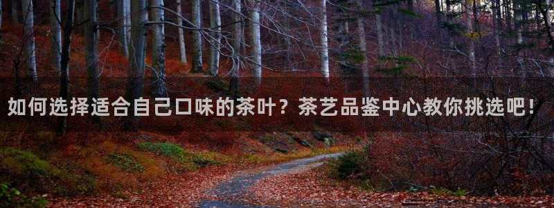 摩登4上7O667