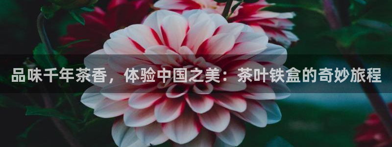摩登7主管qq