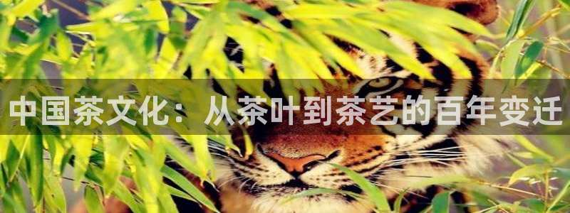 摩登7服333OO