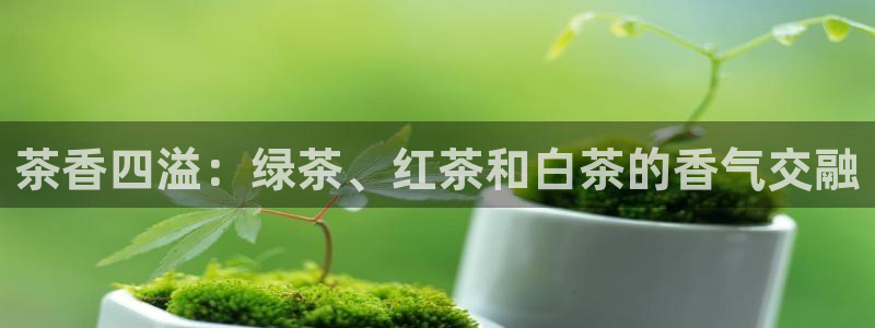 摩登7网彩正规吗
