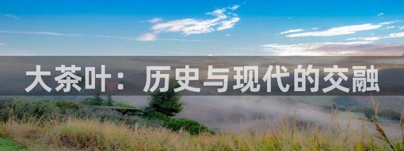 摩登4右7O667