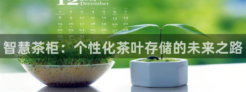 摩登7官方