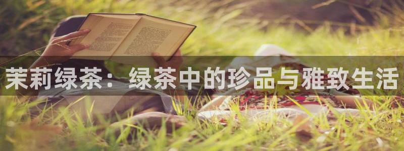 精品摩登7
