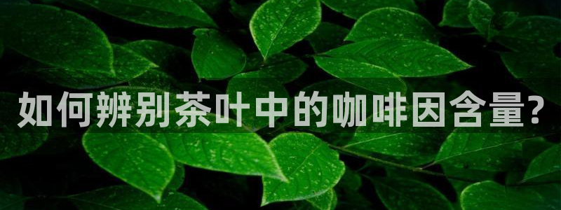 摩登6褚7O667