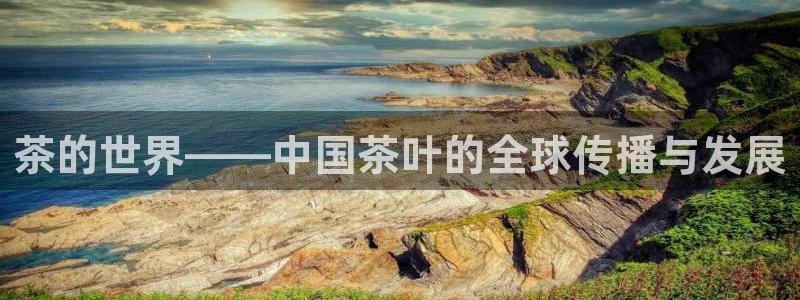 摩登7官方