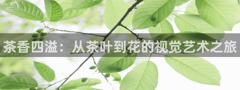摩登7招商议333OO
