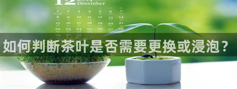 摩登7右