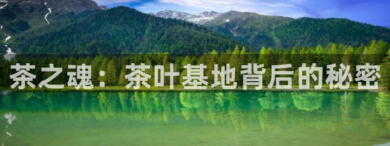 摩登7级