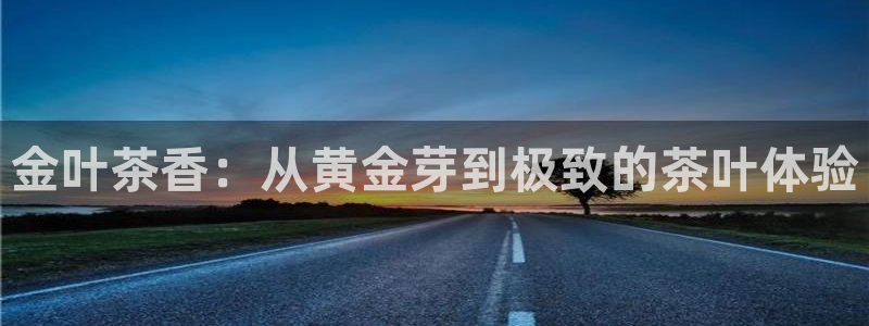 摩登7链接
