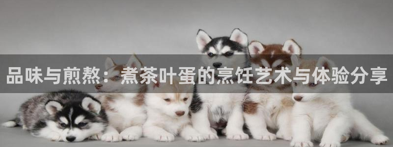 摩登7口碑