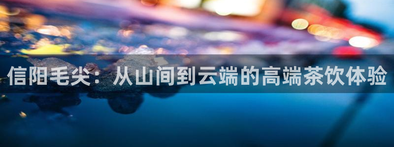 摩登7招商排名