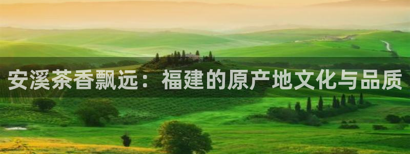 摩登7高阶