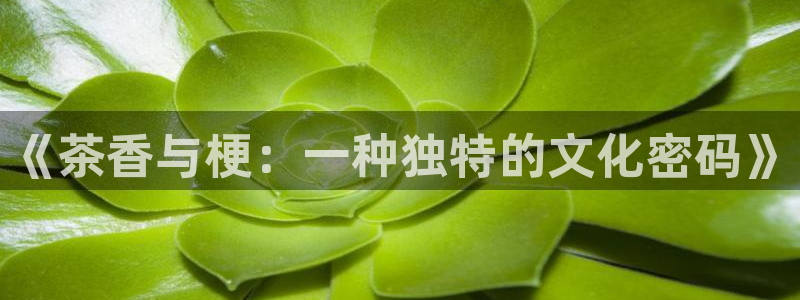 摩登6吴这7O667