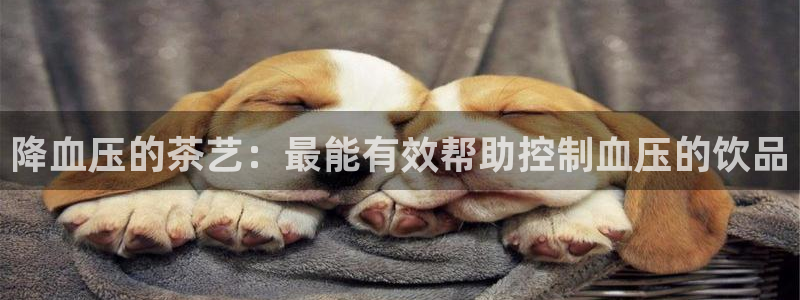 摩登7口碑