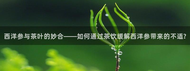 摩登7 平台