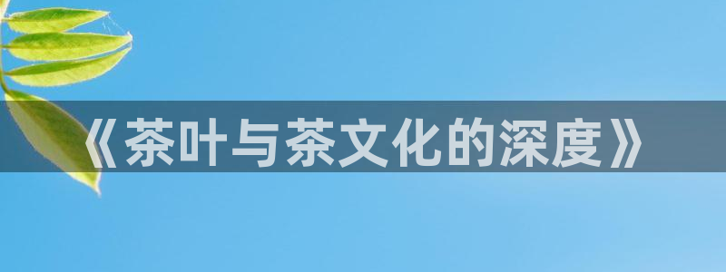 摩登3来找7O667