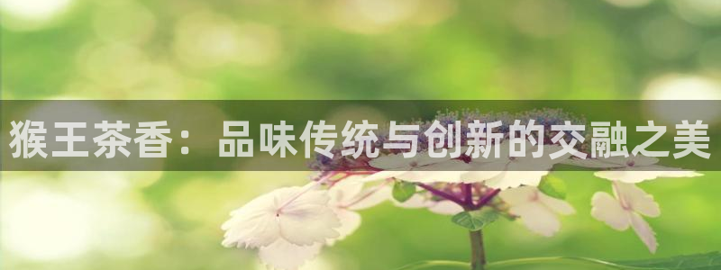 摩登7级