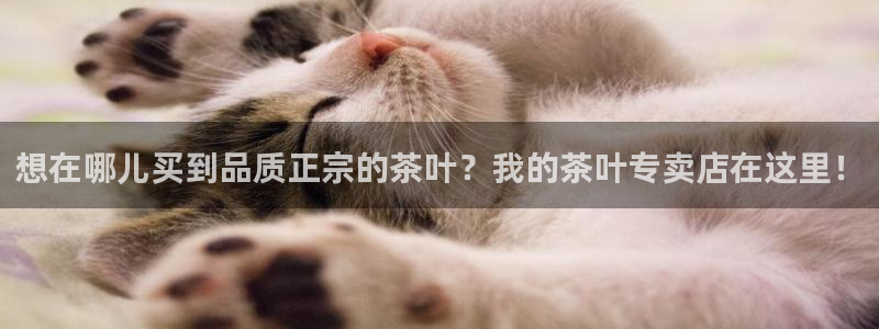 摩登7