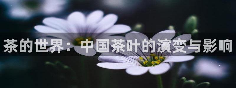 摩登7重工摩登