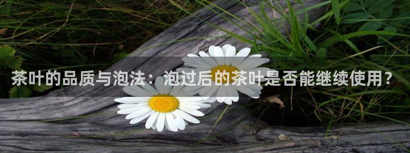 摩登5冯7O667