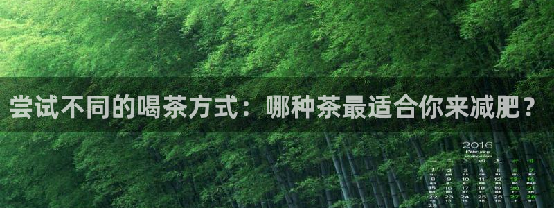 摩登7网站排名