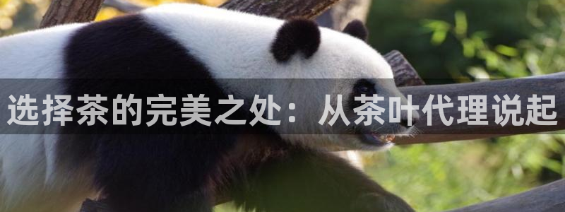 摩登7平台代理