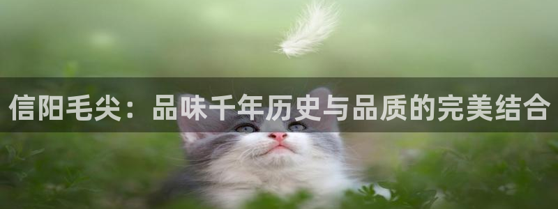 摩登6上7O667