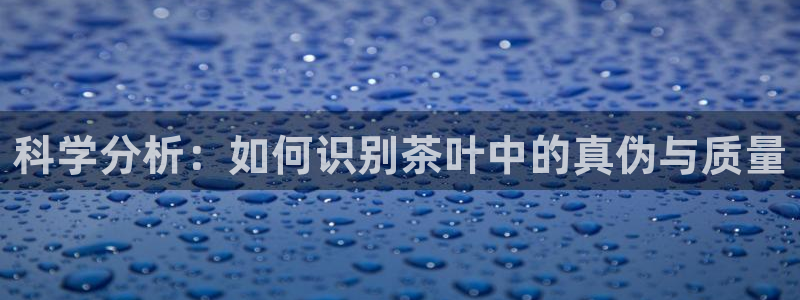 摩登7方3299O7