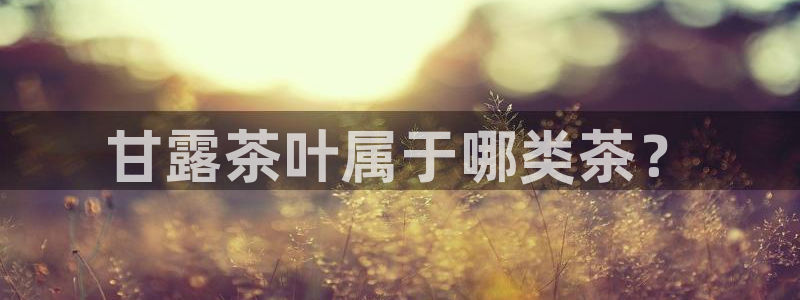 摩登7直属招商