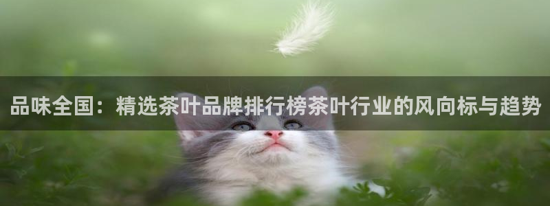 摩登5韩这7O667