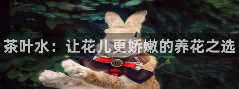 摩登5周这7O667