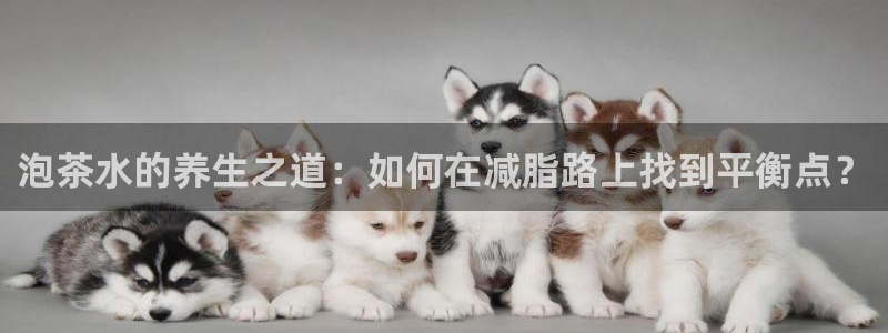 摩登7平台信誉