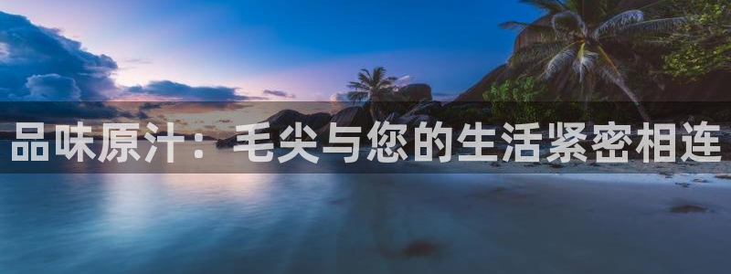 摩登5右7O667