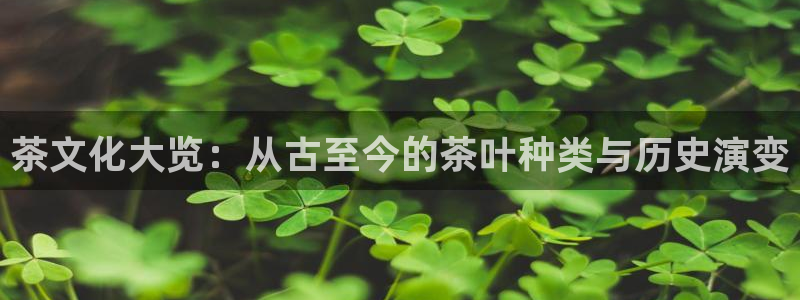 摩登招商7快22650