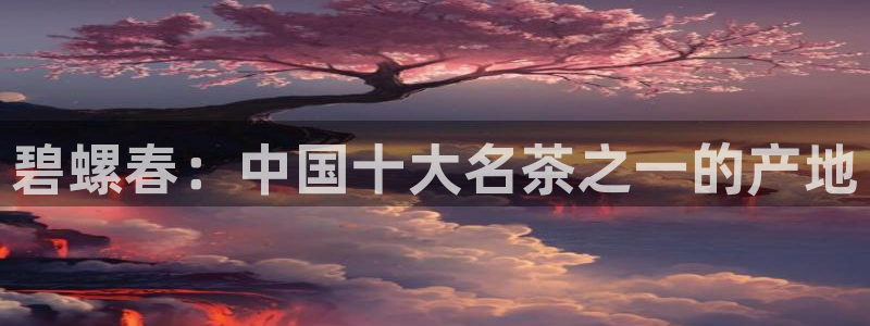 摩登精品7口碑极限