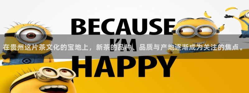 摩登7是什么
