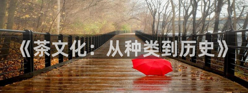 摩登招商虍金手指排名7