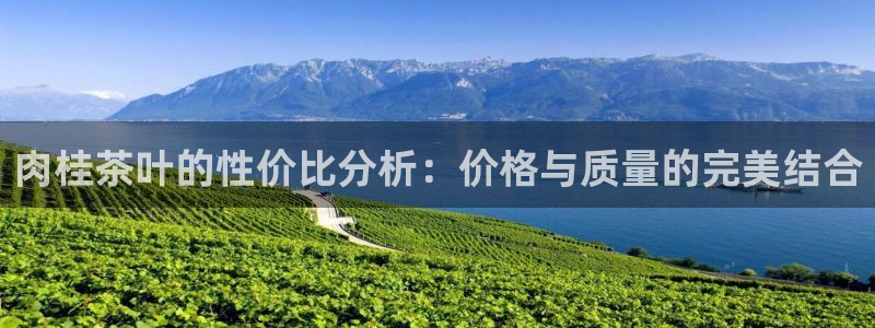 摩登7主管