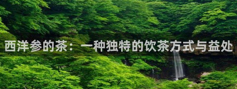 摩登7官方联系方式