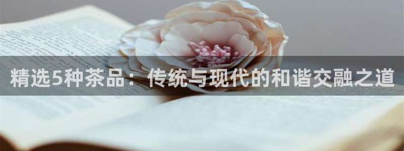 摩登3褚7O667