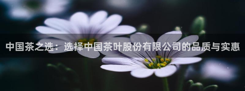 摩登7股东
