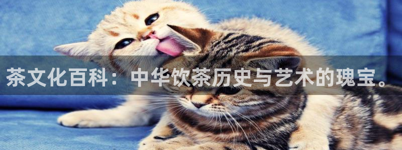 摩登5左7O667
