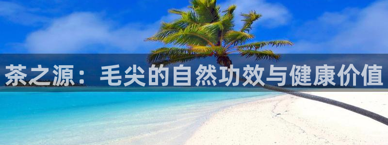 摩登6褚7O667