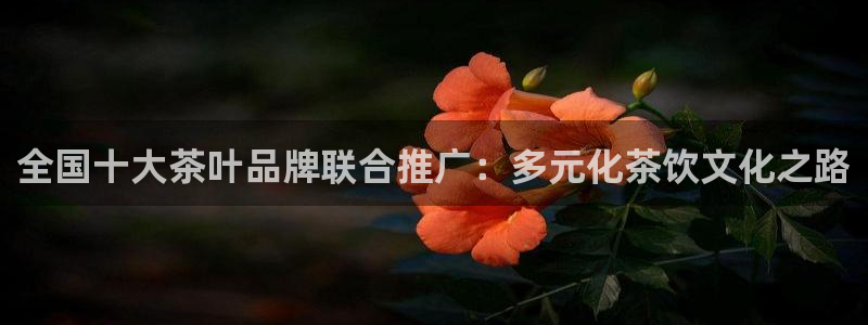 摩登7月7O667