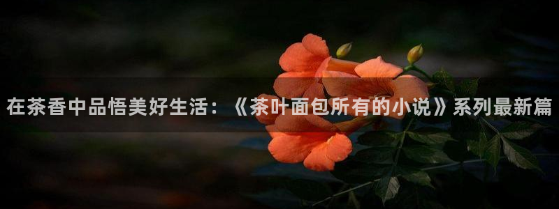 摩登6吴这7O667