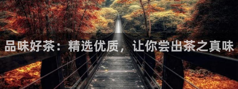 摩登7天3299O7